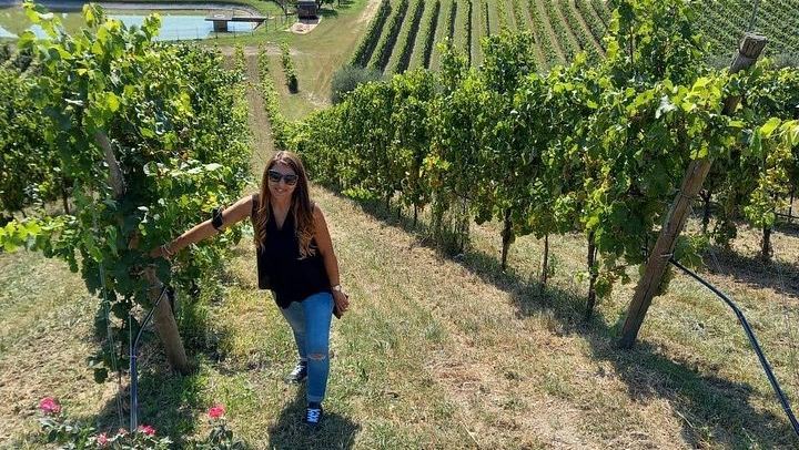 Half-Day Prosecco Road Tour from Conegliano Station with Two DOCG Wineries and Lunch (4/7)