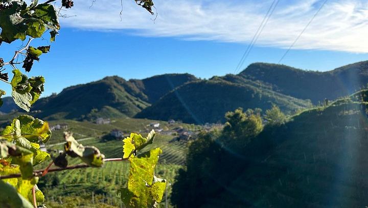 Half-Day Prosecco Road Tour from Conegliano Station with Two DOCG Wineries and Lunch (3/7)