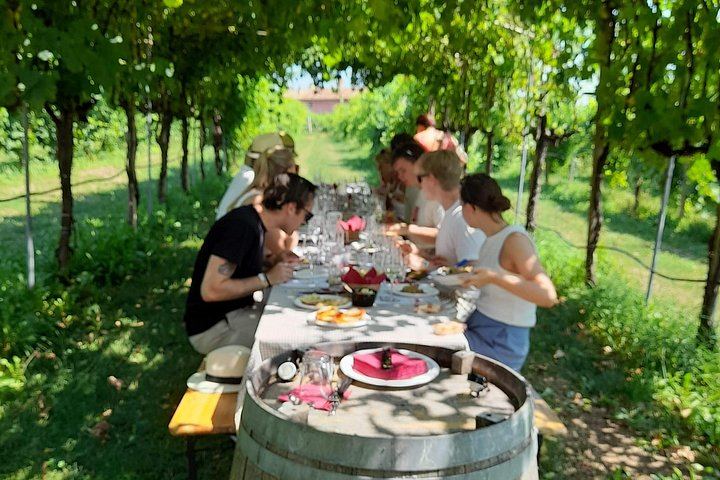 Half-Day Prosecco Road Tour from Conegliano Station with Two DOCG Wineries and Lunch (5/7)