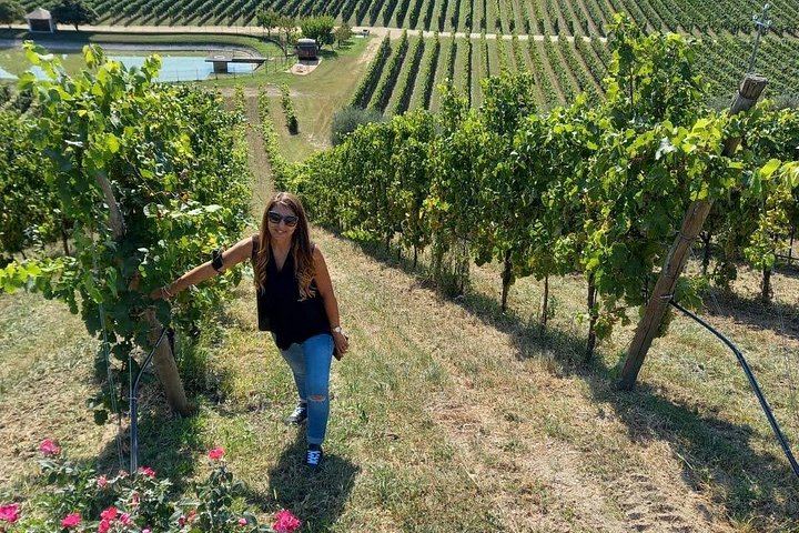 Half-Day Prosecco Road Tour from Conegliano Station with Two DOCG Wineries and Lunch (4/7)