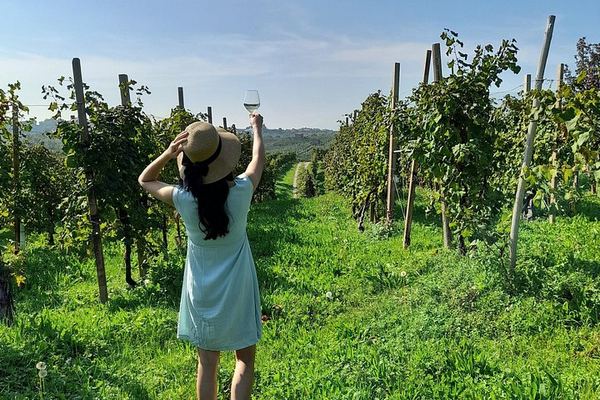 Half-Day Prosecco Road Tour from Conegliano Station with Two DOCG Wineries and Lunch