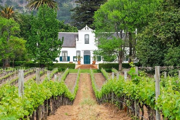3.5-Hour Guided Stellenbosch Wine Tour from Cape Town: Zevenwacht and Cheese Pairing