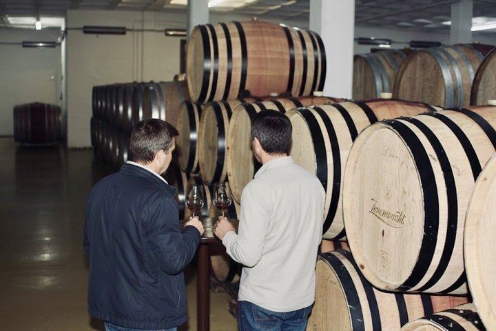 3.5-Hour Guided Stellenbosch Wine Tour from Cape Town: Zevenwacht and Cheese Pairing (7/12)