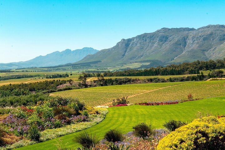 3.5-Hour Guided Stellenbosch Wine Tour from Cape Town: Zevenwacht and Cheese Pairing (2/12)