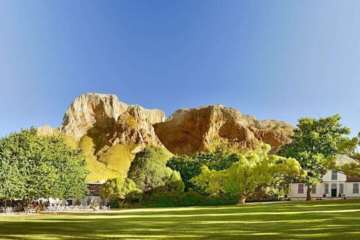 3.5-Hour Guided Stellenbosch Wine Tour from Cape Town: Zevenwacht and Cheese Pairing (11/12)
