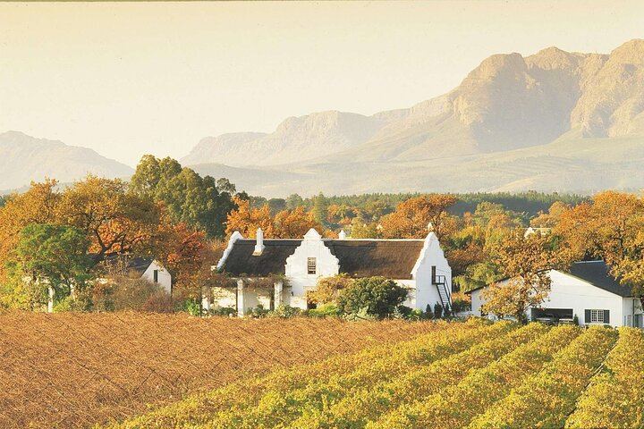 3.5-Hour Guided Stellenbosch Wine Tour from Cape Town: Zevenwacht and Cheese Pairing (10/12)
