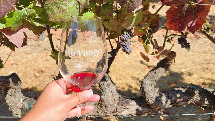 Half-Day Napa and Sonoma Winery Tour from San Francisco with Estate Tours (3/11)