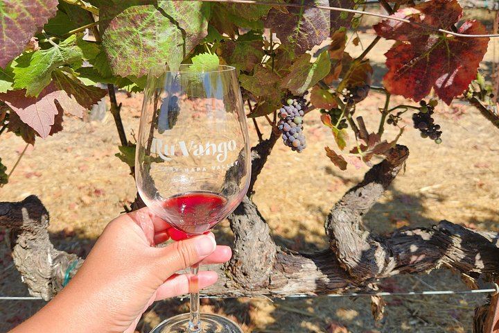 Half-Day Napa and Sonoma Winery Tour from San Francisco with Estate Tours (3/11)