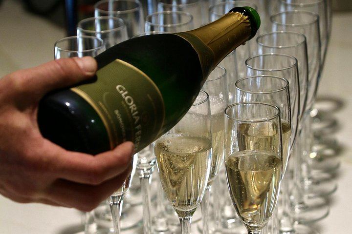 Half-Day Napa and Sonoma Winery Tour from San Francisco with Estate Tours (8/11)