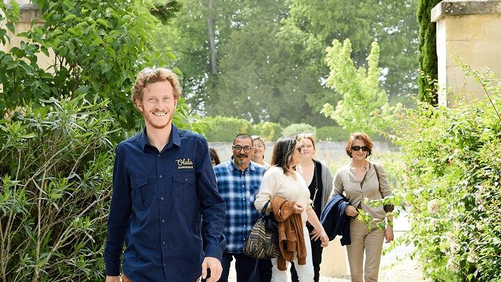 Half-Day Saint-Émilion Small-Group Trip from Bordeaux: Village Walk and Grand Cru Tasting (3/12)