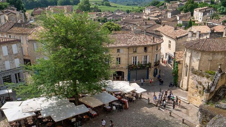 Half-Day Saint-Émilion Small-Group Trip from Bordeaux: Village Walk and Grand Cru Tasting (1/12)