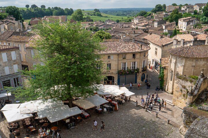 Half-Day Saint-Émilion Small-Group Trip from Bordeaux: Village Walk and Grand Cru Tasting (1/12)