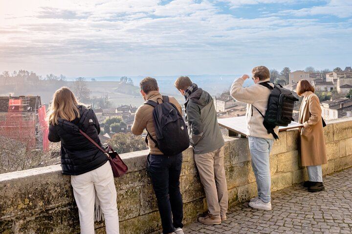 Half-Day Saint-Émilion Small-Group Trip from Bordeaux: Village Walk and Grand Cru Tasting (5/12)