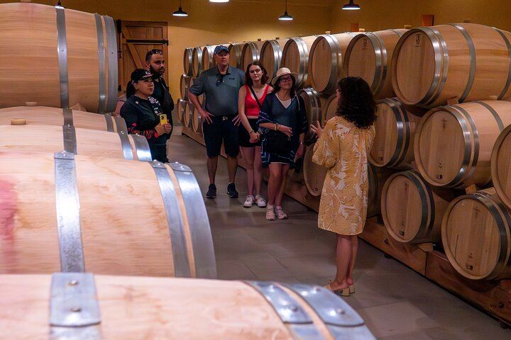 Half-Day Saint-Émilion Small-Group Trip from Bordeaux: Village Walk and Grand Cru Tasting (9/12)