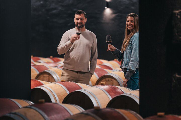 Half-Day Saint-Émilion Small-Group Trip from Bordeaux: Village Walk and Grand Cru Tasting (7/12)