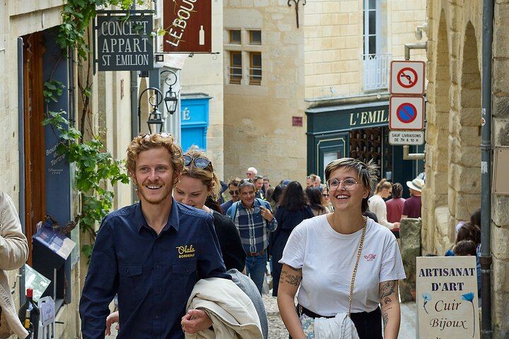 Half-Day Saint-Émilion Small-Group Trip from Bordeaux: Village Walk and Grand Cru Tasting (12/12)