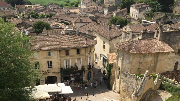 Half-Day Saint-Émilion Tour with a Certified Sommelier, Groups of Up to 4, Two Estates (4/12)
