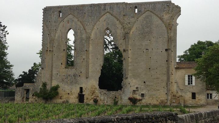 Half-Day Saint-Émilion Tour with a Certified Sommelier, Groups of Up to 4, Two Estates (3/12)