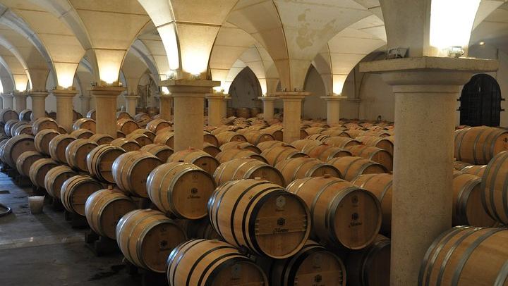 Half-Day Saint-Émilion Tour with a Certified Sommelier, Groups of Up to 4, Two Estates (1/12)