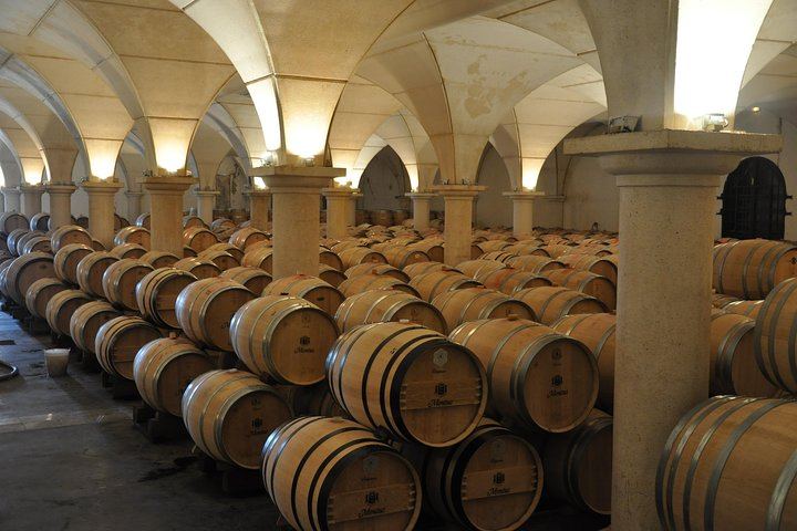 Half-Day Saint-Émilion Tour with a Certified Sommelier, Groups of Up to 4, Two Estates (1/12)