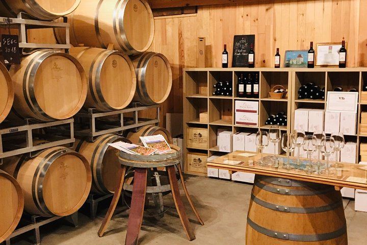 Half-Day Saint-Émilion Tour with a Certified Sommelier, Groups of Up to 4, Two Estates (10/12)