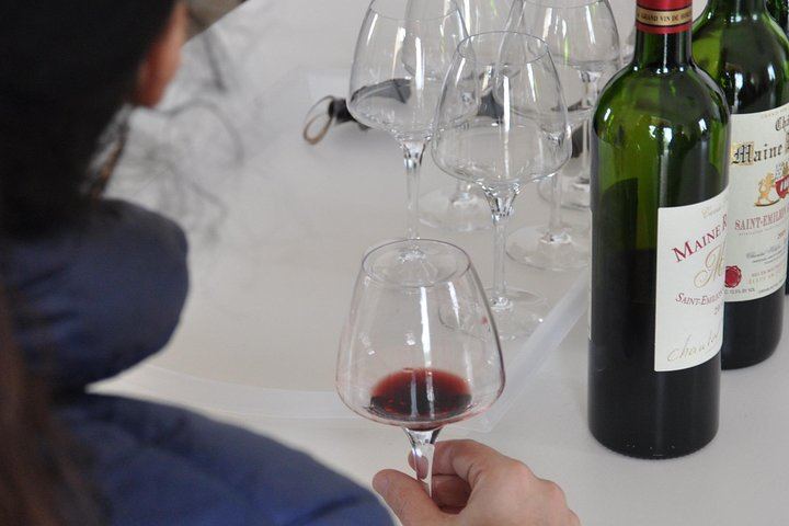 Half-Day Saint-Émilion Tour with a Certified Sommelier, Groups of Up to 4, Two Estates (5/12)