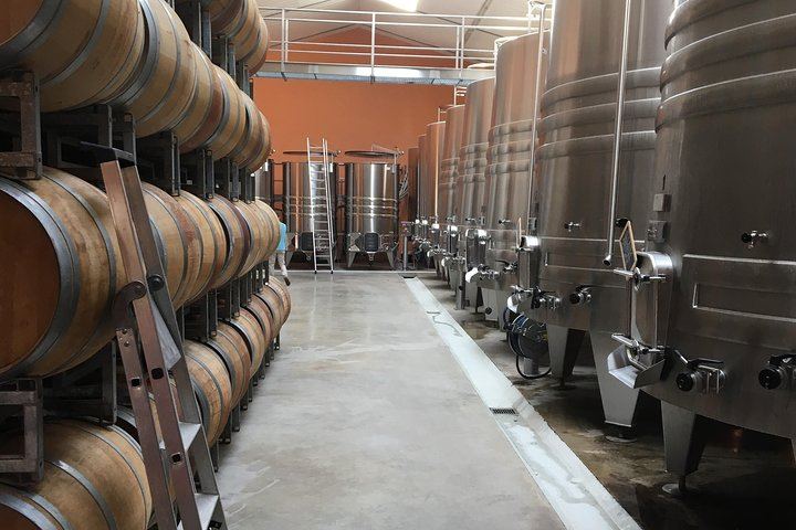 Half-Day Saint-Émilion Tour with a Certified Sommelier, Groups of Up to 4, Two Estates (6/12)