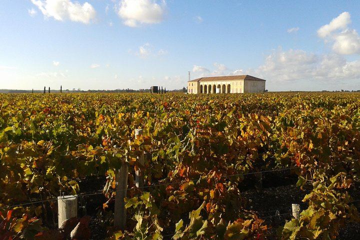 Half-Day Saint-Émilion Tour with a Certified Sommelier, Groups of Up to 4, Two Estates (11/12)