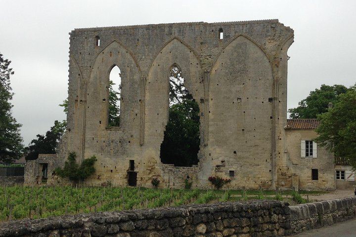 Half-Day Saint-Émilion Tour with a Certified Sommelier, Groups of Up to 4, Two Estates (3/12)