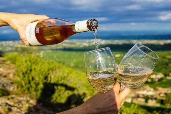 Half-Day West Kelowna Wine Tour with Hotel Pickup in a Carpe Diem Van
