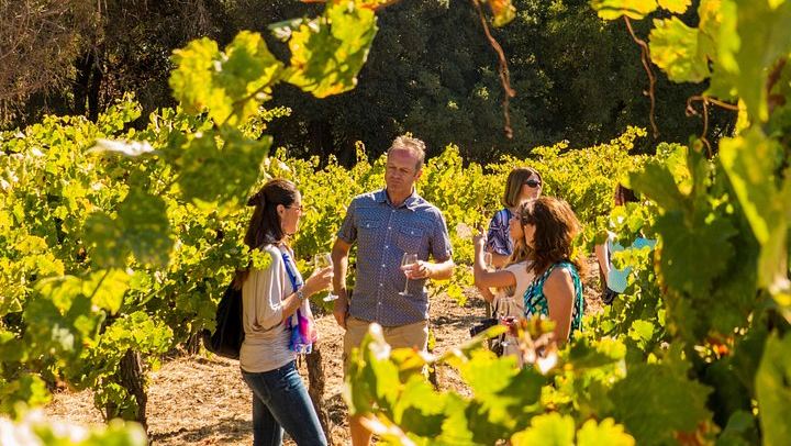 Five-Hour Wine Country Coach Tour from San Francisco with Two Winery Tastings (1/7)