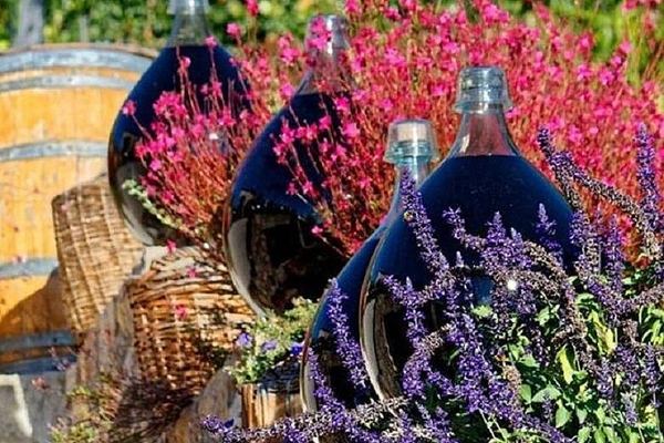 Half-Day Saint-Jeannet Family Vineyard Tasting and Saint-Paul-de-Vence Visit from Nice
