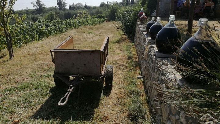 Half-Day Saint-Jeannet Family Vineyard Tasting and Saint-Paul-de-Vence Visit from Nice (1/5)