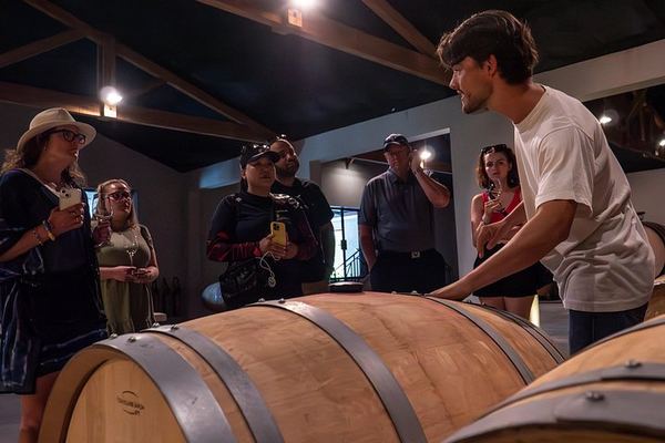 Half-Day Small-Group Margaux Wine Tour from Bordeaux by Van, Two Châteaux and Tastings