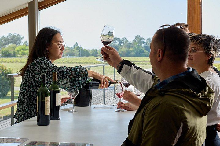 Half-Day Small-Group Margaux Wine Tour from Bordeaux by Van, Two Châteaux and Tastings (1/12)