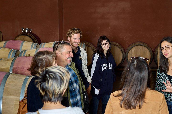 Half-Day Small-Group Margaux Wine Tour from Bordeaux by Van, Two Châteaux and Tastings (6/12)