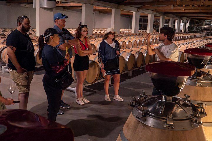 Half-Day Small-Group Margaux Wine Tour from Bordeaux by Van, Two Châteaux and Tastings (8/12)