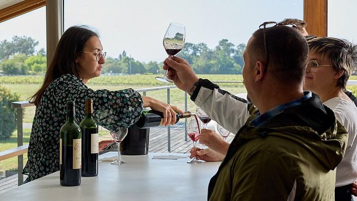 Half-Day Small-Group Margaux Wine Tour from Bordeaux by Van, Two Châteaux and Tastings (1/12)