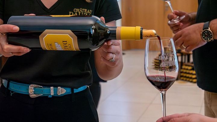 Half-Day Small-Group Margaux Wine Tour from Bordeaux by Van, Two Châteaux and Tastings (4/12)