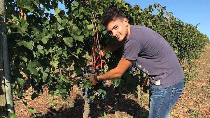 Chianti Classico Private Minivan Day from Florence: Montefioralle, Panzano and Farm Lunch (3/12)