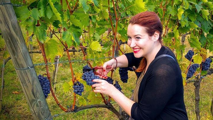 Brunello and Vino Nobile Tour: Montalcino, Montepulciano and Pienza Pecorino (2/12)
