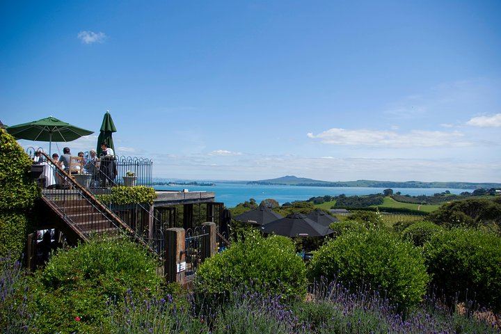 Waiheke Island Premium Wine Tour from Auckland: Max 11 Guests, 3 Boutique Vineyards (5/10)