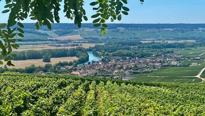 Private Mercedes Day Trip from Paris: Moët & Chandon, Veuve Clicquot, Hautvillers, Reims (1/12)