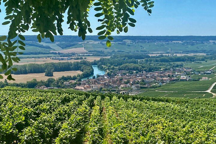 Private Mercedes Day Trip from Paris: Moët & Chandon, Veuve Clicquot, Hautvillers, Reims (1/12)