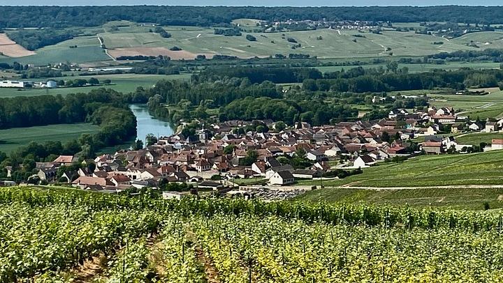 Private Champagne Day from Paris by Mercedes: Moët & Chandon, Taittinger, Four Tastings (2/12)