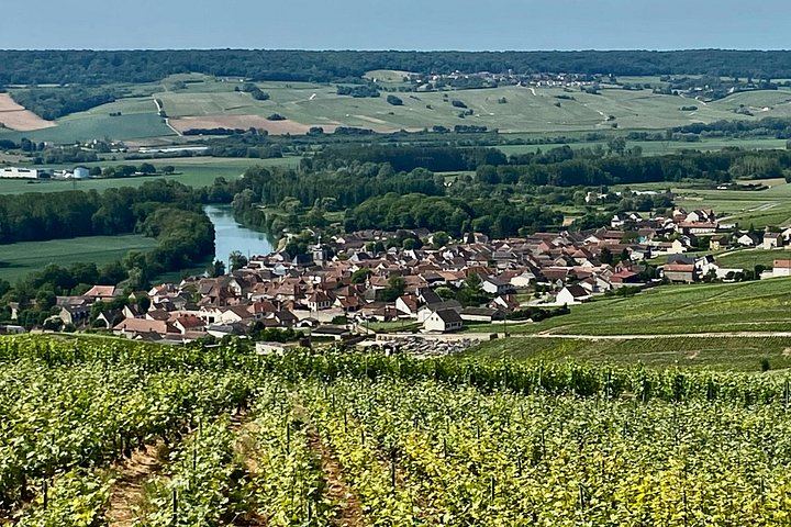 Private Champagne Day from Paris by Mercedes: Moët & Chandon, Taittinger, Four Tastings (2/12)