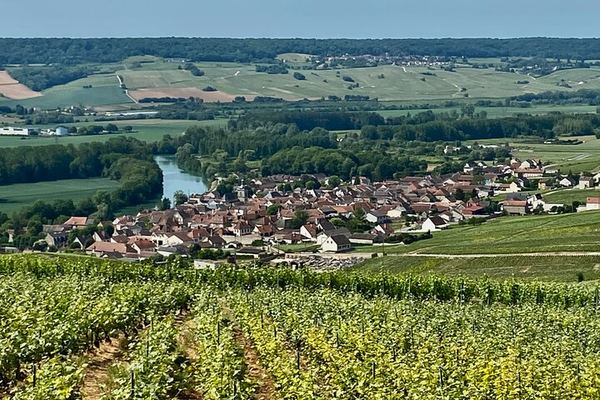 Private Mercedes Day Trip from Paris: Moët & Chandon, Veuve Clicquot, Hautvillers, Reims