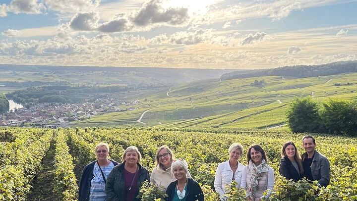Small Group Champagne Day from Reims or Épernay Station: Estate Lunch, Champagne Pairing (2/9)