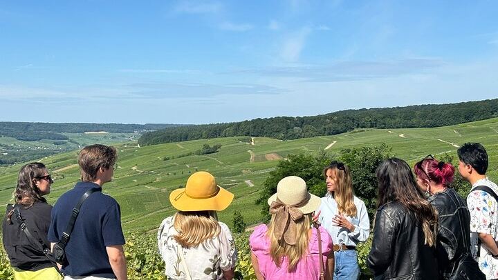 Small Group Champagne Day from Reims or Épernay Station: Estate Lunch, Champagne Pairing (1/9)