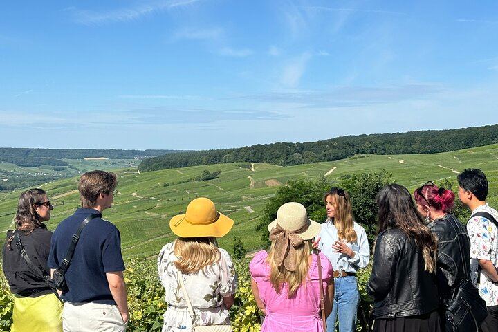 Small Group Champagne Day from Reims or Épernay Station: Estate Lunch, Champagne Pairing (1/9)